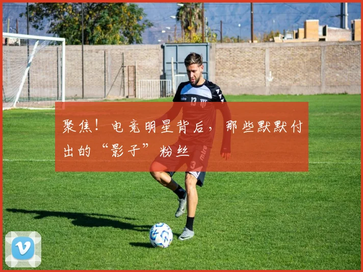 聚焦！电竞明星背后，那些默默付出的“影子”粉丝