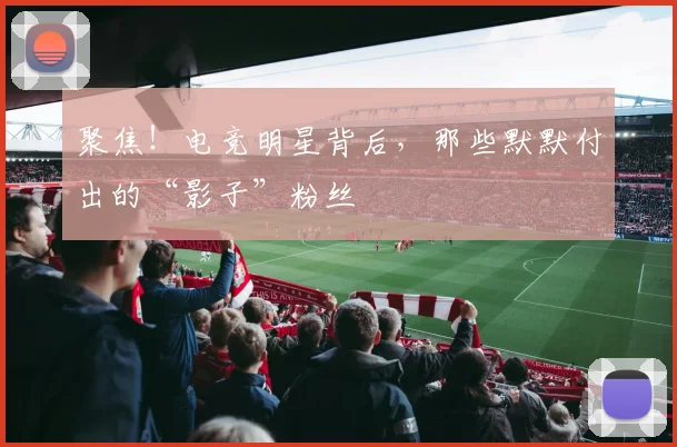 聚焦！电竞明星背后，那些默默付出的“影子”粉丝